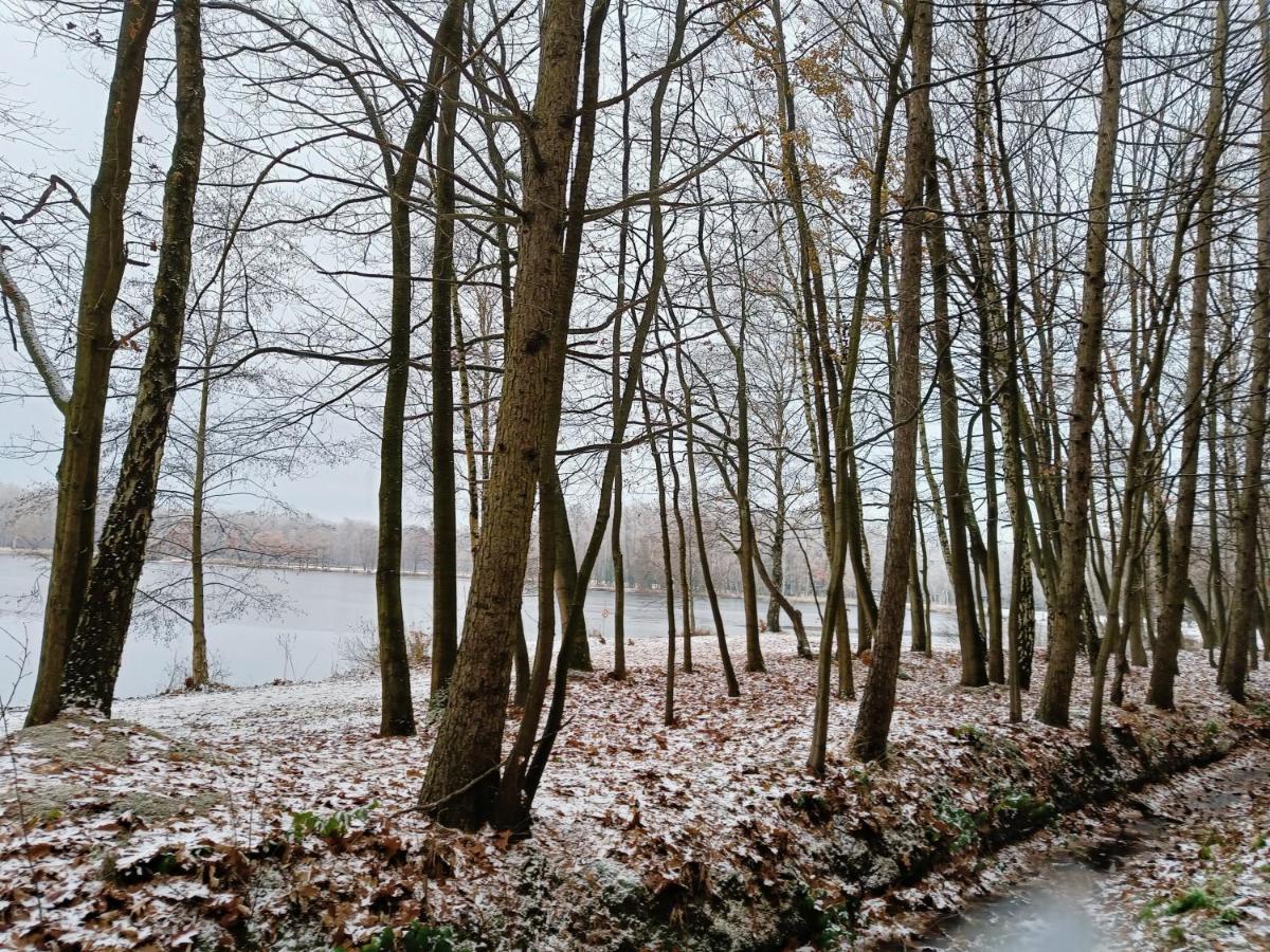 Lauwie 14 Lanaken Eksteriør bilde