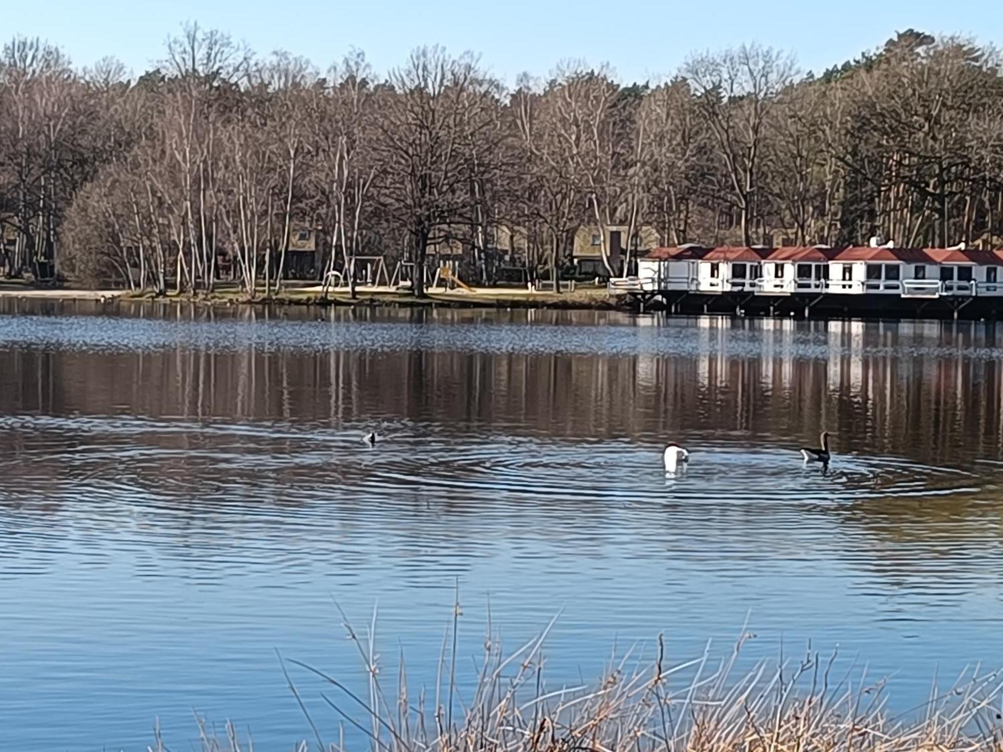 Lauwie 14 Lanaken Eksteriør bilde